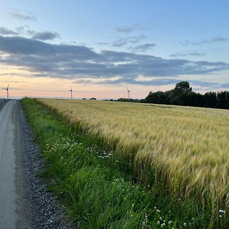 Backadal Gard Bnb Ystad Exterior foto