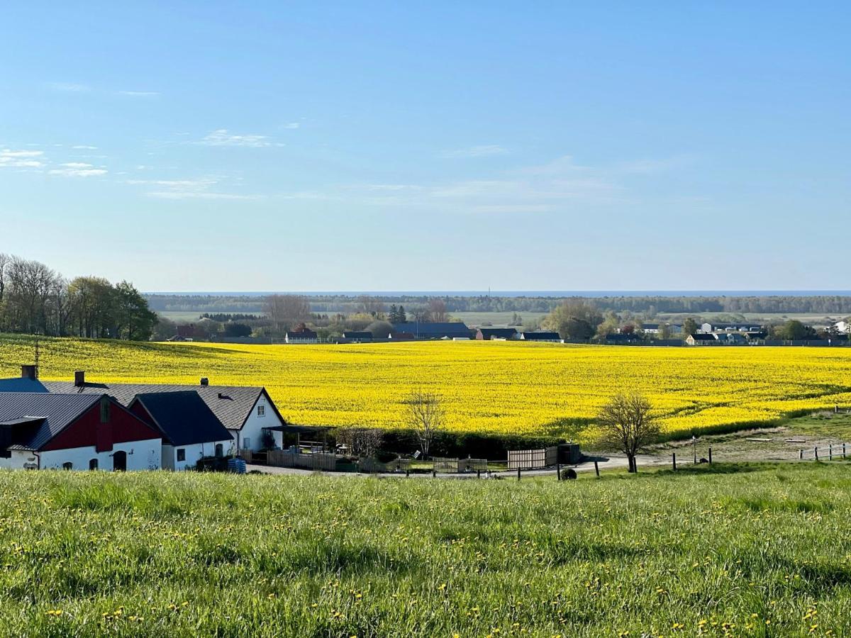 Backadal Gard Bnb Ystad Exterior foto
