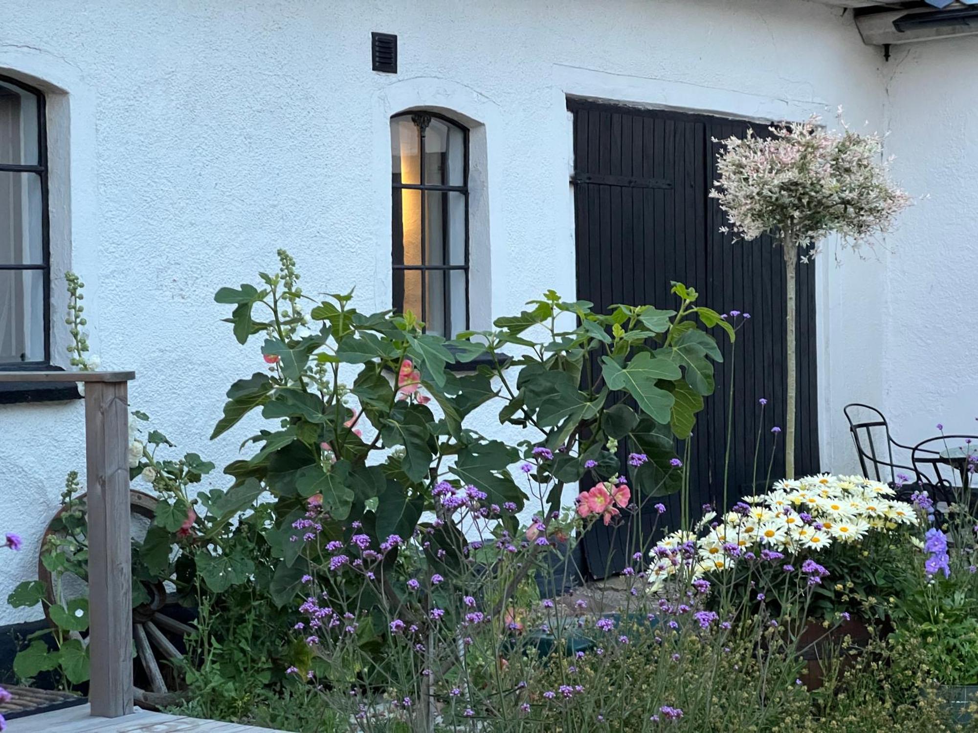 Backadal Gard Bnb Ystad Exterior foto
