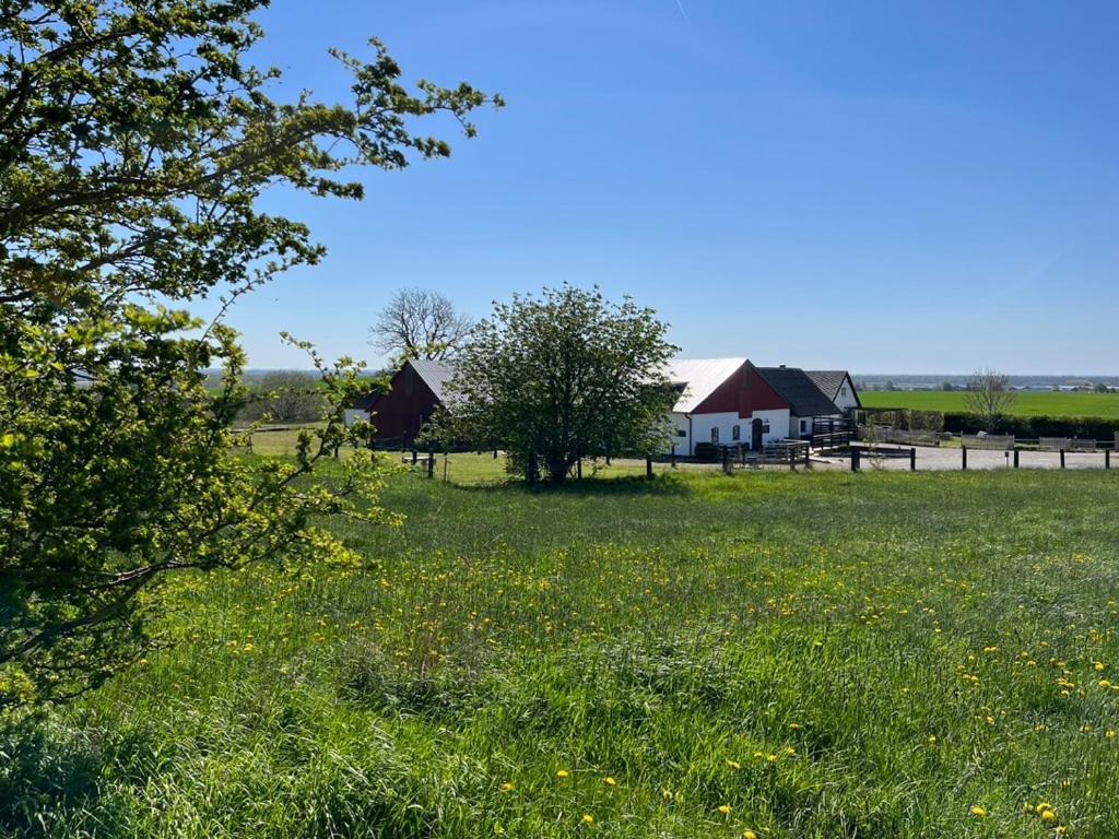 Backadal Gard Bnb Ystad Exterior foto