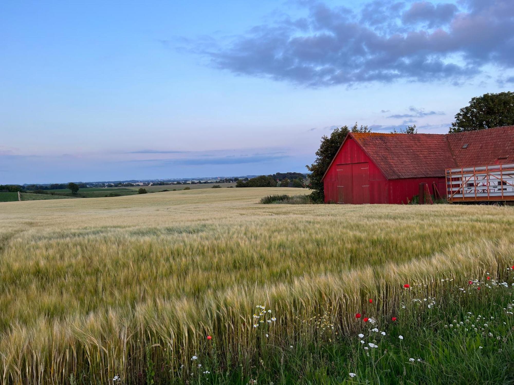 Backadal Gard Bnb Ystad Exterior foto